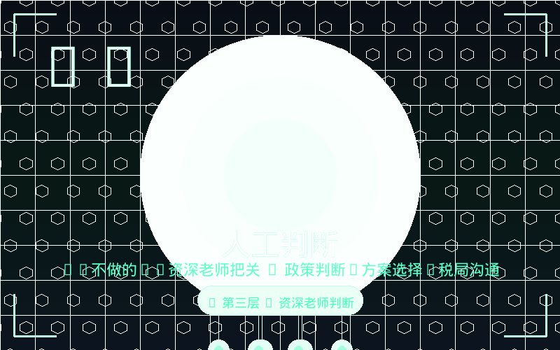 人工判断 -- AI不做的：政策判断+方案选择+税局沟通，资深老师把关